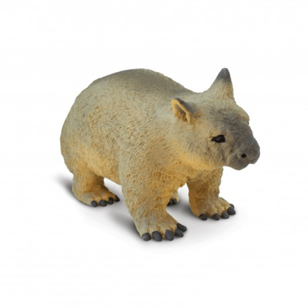 Safari Ltd. Wombat - Pisces Pet Emporium