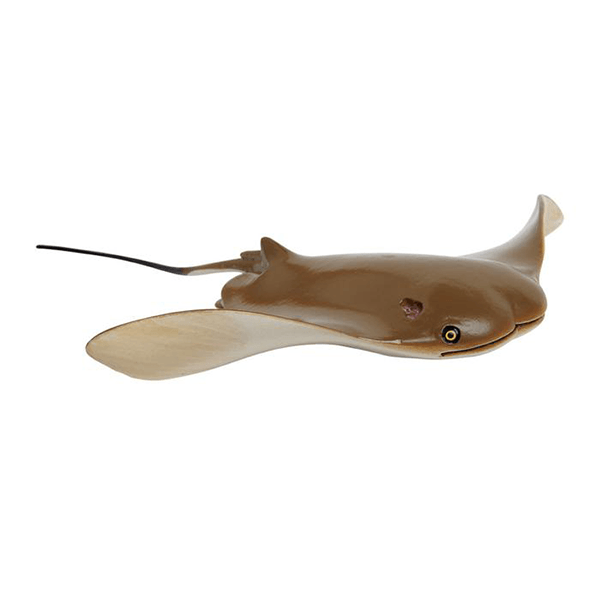 Safari Ltd. Cownose Ray - Pisces Pet Emporium