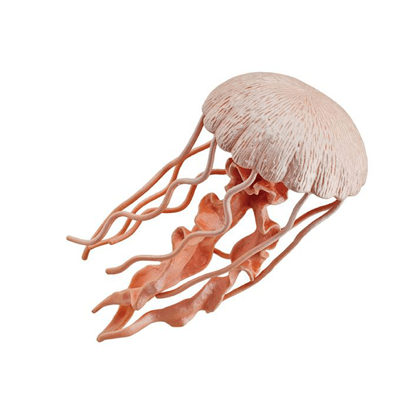 Safari Ltd. Jellyfish - Pisces Pet Emporium