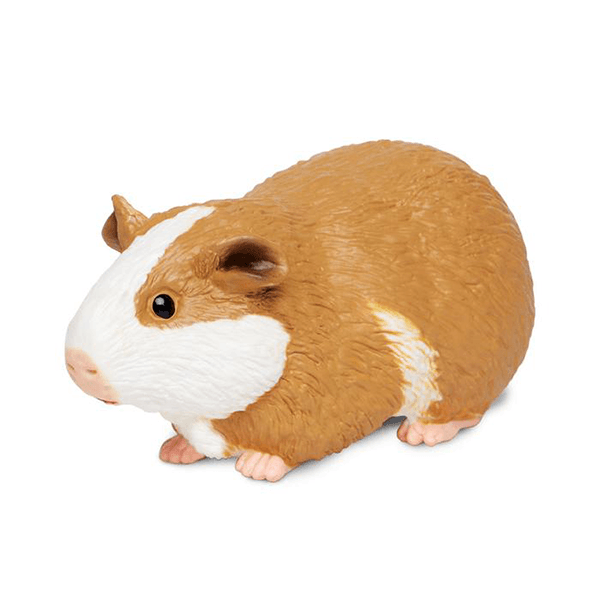 Safari Ltd. Guinea Pig - Pisces Pet Emporium