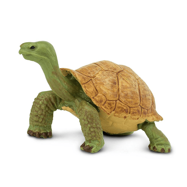 Safari Ltd. Giant Tortoise - Pisces Pet Emporium
