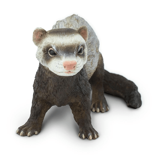 Safari Ltd. Ferret - Pisces Pet Emporium