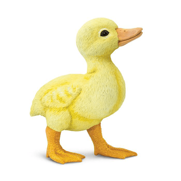 Safari Ltd. Duckling - Pisces Pet Emporium