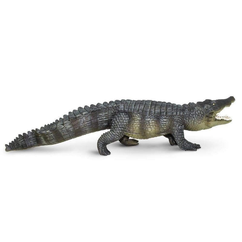 Safari Ltd. Saltwater Crocodile - Pisces Pet Emporium