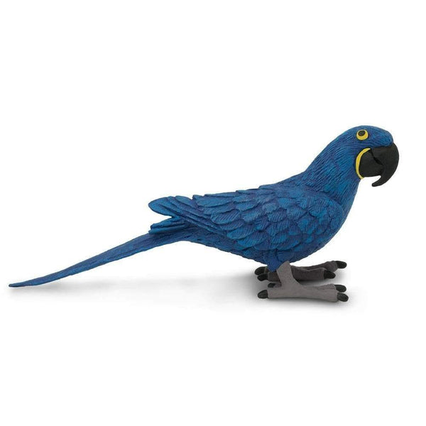 Safari Ltd. Hyacinth Macaw - Pisces Pet Emporium