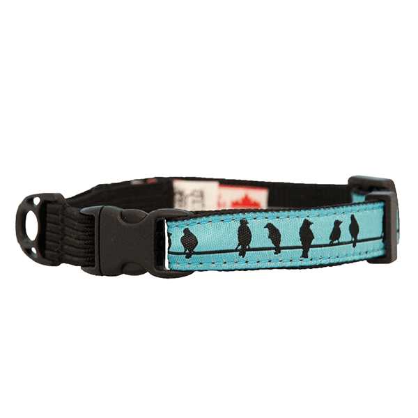 RC Pets Birds on a Wire Kitty Clip Collar - Pisces Pet Emporium