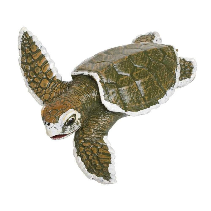 Safari Ltd. Kemp's Ridley Sea Turtle Baby - Pisces Pet Emporium
