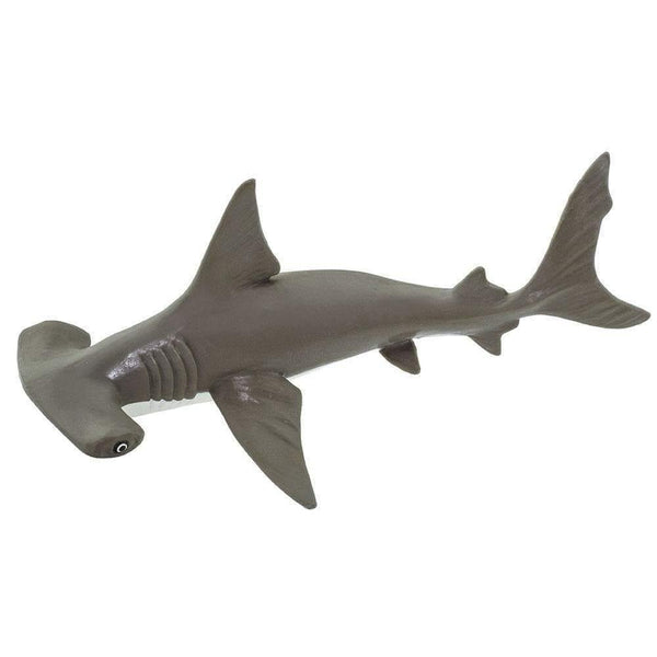 Safari ltd. Baby Hammerhead Shark - Pisces Pet Emporium