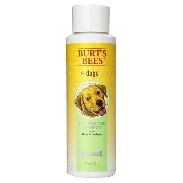 Burt's Bees Soothing Skin Shampoo with Honey - 475mL - Pisces Pet Emporium