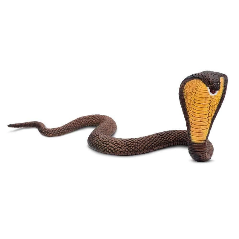 Safari Ltd. Cobra - Pisces Pet Emporium