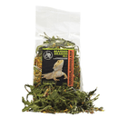 Komodo Bearded Dragon Mix - Pisces Pet Emporium