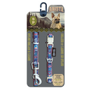 Arista Flamenco Collar & Leash Set - Available in 3 Sizes - Pisces Pet Emporium