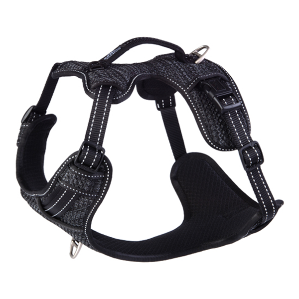 Rogz Nitelife Small Explore Harness - Available in 3 Colours - Pisces Pet Emporium