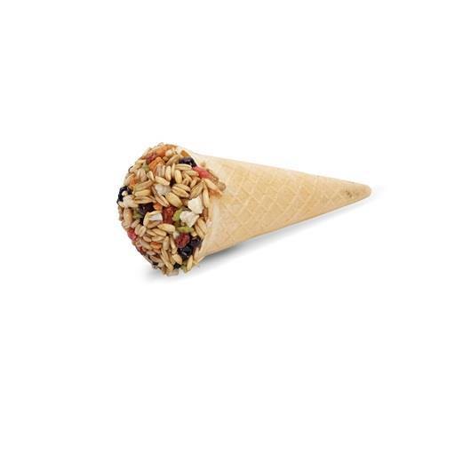 Living World Ice Cream Cone - Fruit 40g - Pisces Pet Emporium