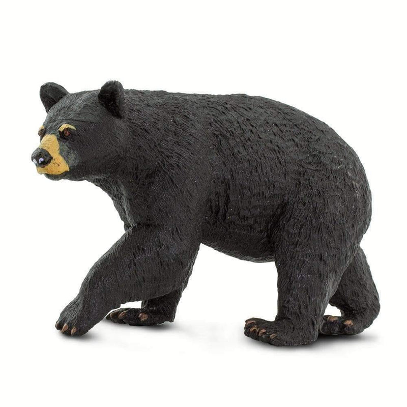 Safari Ltd. Black Bear - Pisces Pet Emporium