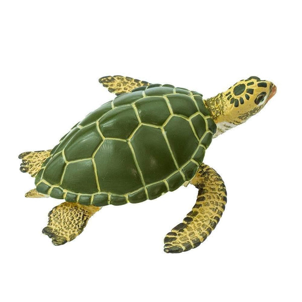Safari Ltd. Green Sea Turtle | Pisces