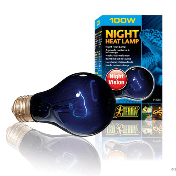 Exo Terra Night Heat Lamp - 100 W - Pisces Pet Emporium