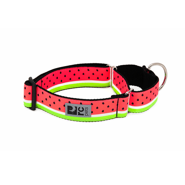 RC Pets Watermelon All Webbing Training Collar - Available in 3 Sizes - Pisces Pet Emporium