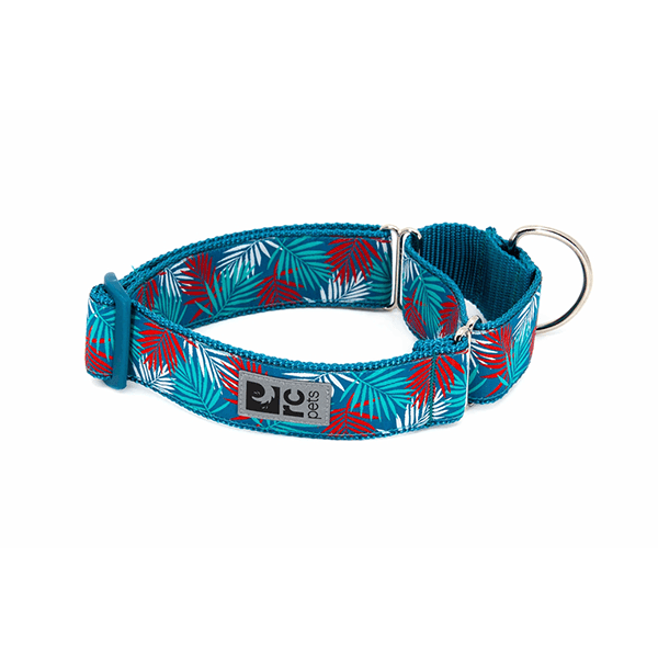 RC Pets Maldives All Webbing Training Collar - Available in 2 Sizes - Pisces Pet Emporium