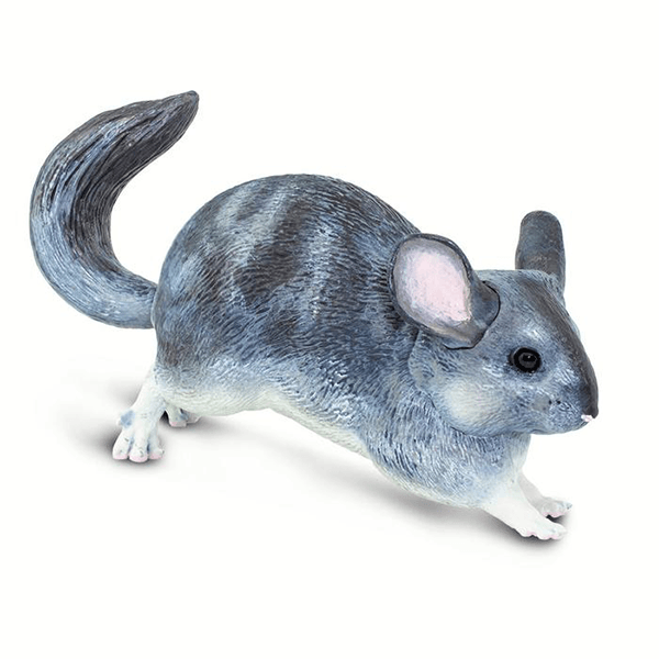 Safari Ltd. Chinchilla - Pisces Pet Emporium