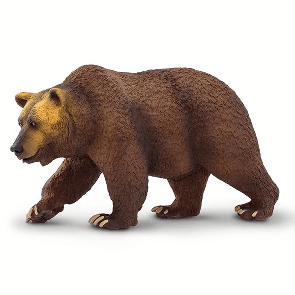 Safari Ltd. Grizzly Bear - Pisces Pet Emporium