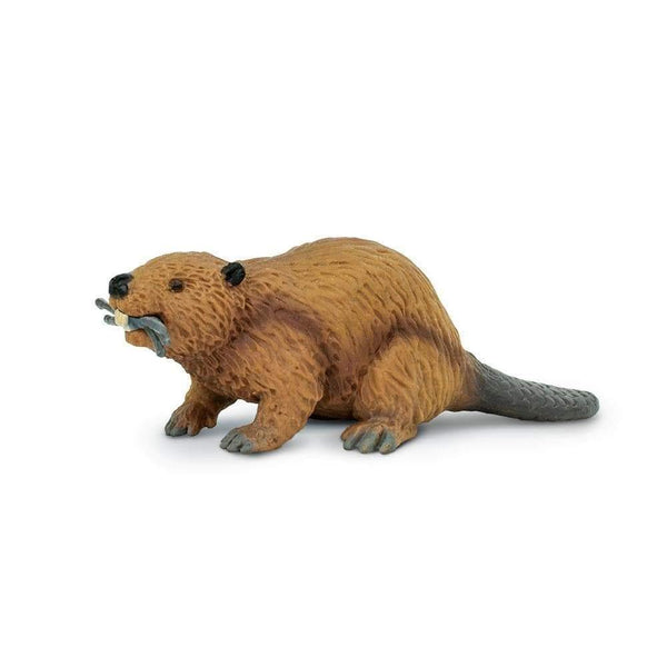 Safari Ltd. Beaver - Pisces Pet Emporium
