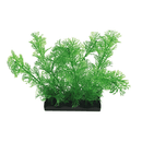 Penn Plax Aqua Plant Clubmoss Bunch - Pisces Pet Emporium