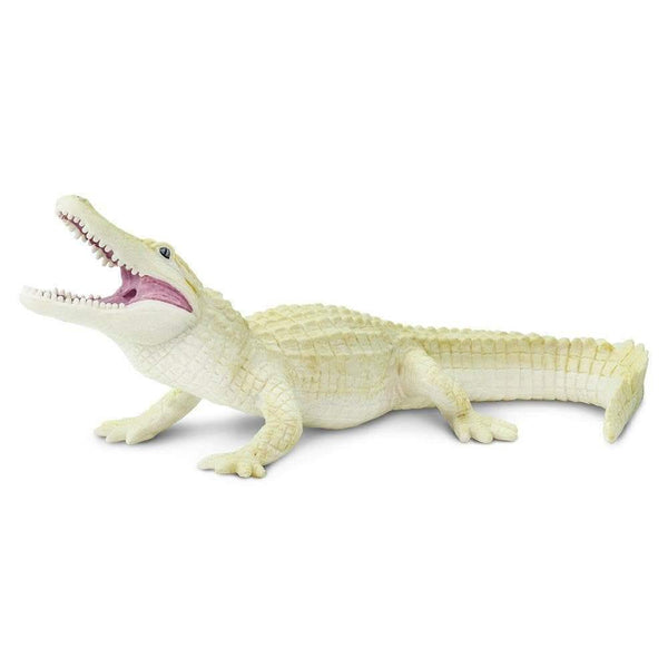 Safari Ltd. White Alligator - Pisces Pet Emporium