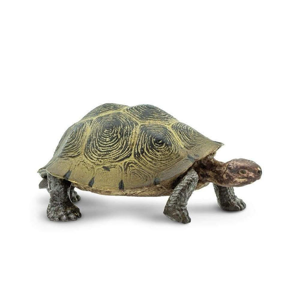 Safari Ltd. Desert Tortoise Toy - Pisces Pet Emporium