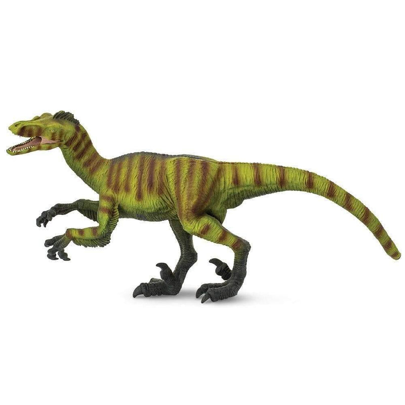 Safari Ltd. Velociraptor - Pisces Pet Emporium