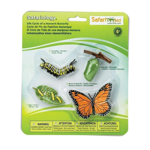 Safari Ltd. Life Cycle of a Monarch Butterfly - Pisces Pet Emporium