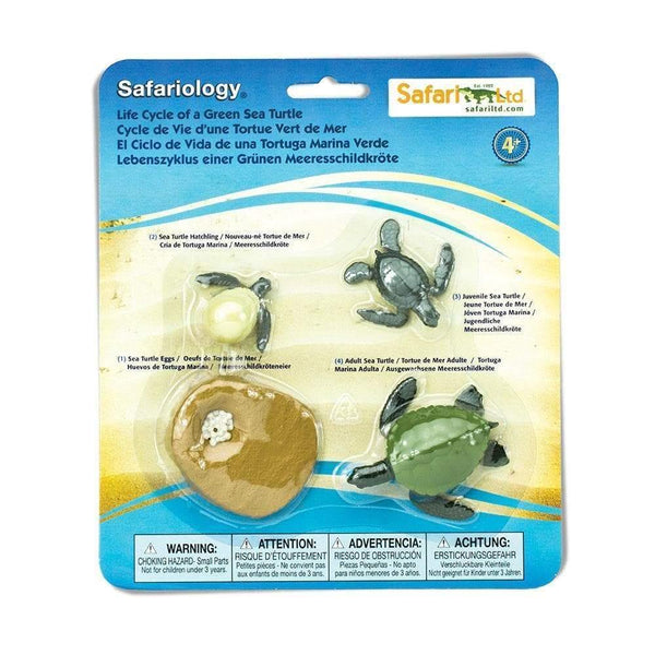 Safari Ltd. Life Cycle of a Green Sea Turtle - Pisces Pet Emporium