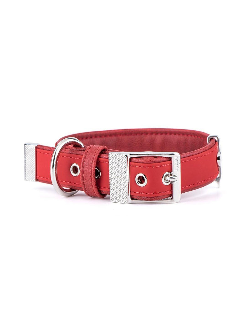 MyFamily Bilbao Collar - Red - Pisces Pet Emporium