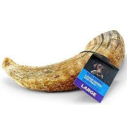 Icelandic Lamb Horn - Large - Pisces Pet Emporium