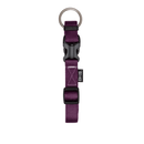 Zeus Royal Purple Adjustable Nylon Collar - Available in 4 Sizes - Pisces Pet Emporium