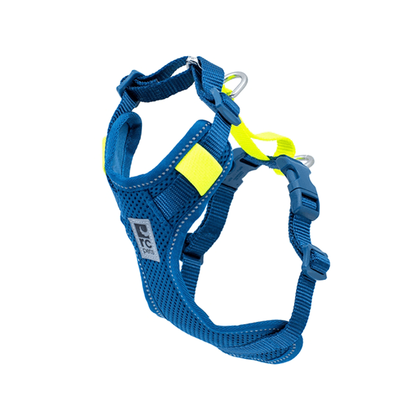RC Pets Blue Moto Control Harness - Available in Multiple Sizes - Pisces Pet Emporium