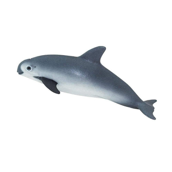 Safari Ltd. Vaquita Porpoise - Pisces Pet Emporium