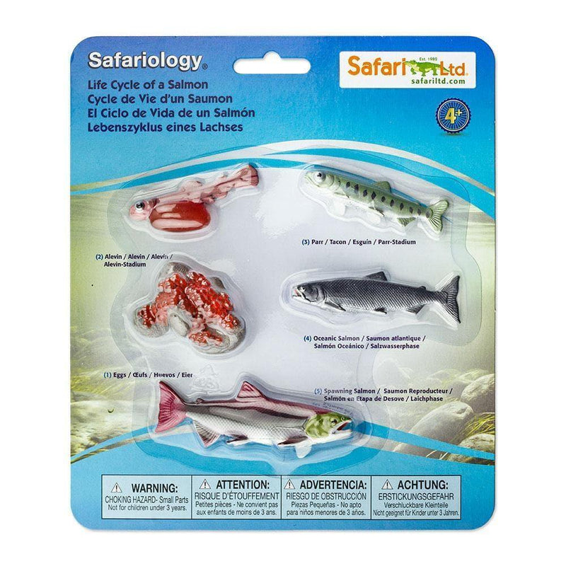 Safari Ltd. Life Cycle of a Salmon - Pisces Pet Emporium