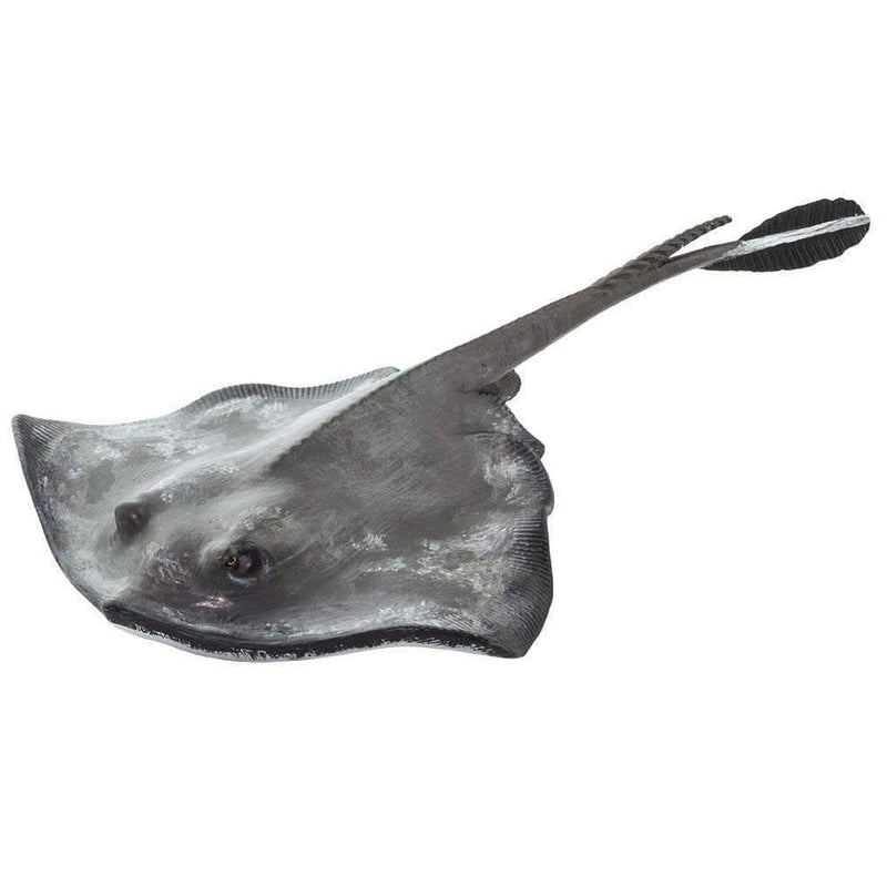 Safari Ltd. Sting Ray - Pisces Pet Emporium