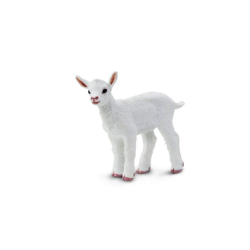 Safari Ltd. Kid Goat - Pisces Pet Emporium