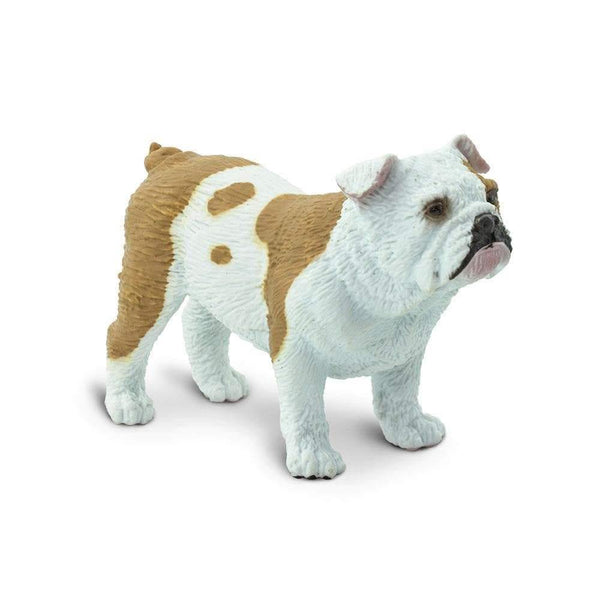 Safari Ltd. Bulldog - Pisces Pet Emporium