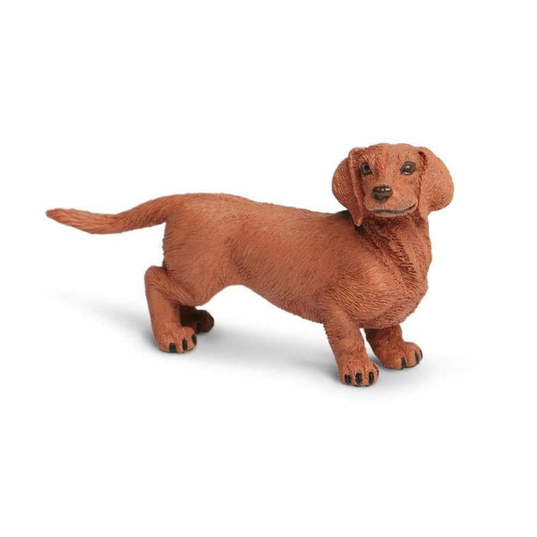 Safari Ltd. Dachshund - Pisces Pet Emporium