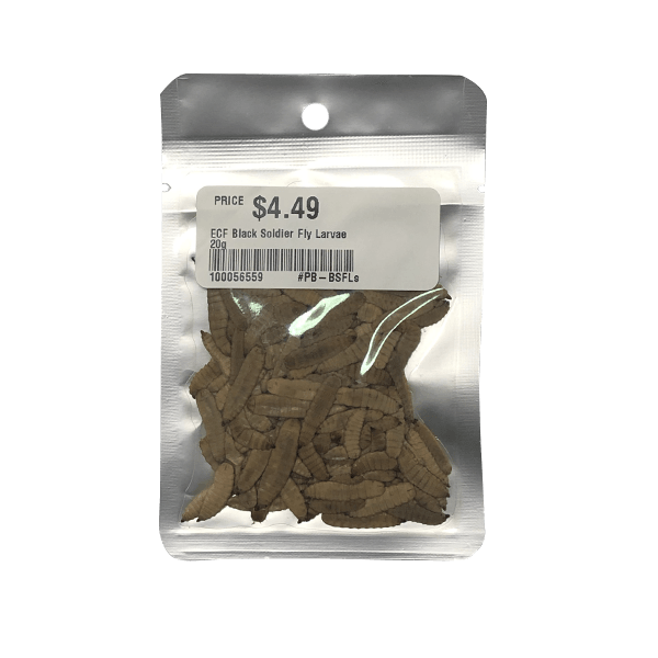 Eco Fresh Black Soldier Fly Larvae - 20 g - Pisces Pet Emporium