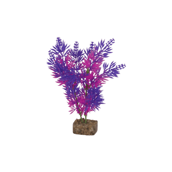 Tetra GloFish Medium Purple/Pink Plants - Pisces Pet Emporium