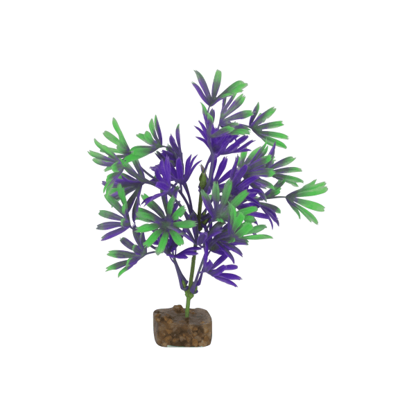 Tetra GloFish Medium Purple/Green Plant - Pisces Pet Emporium