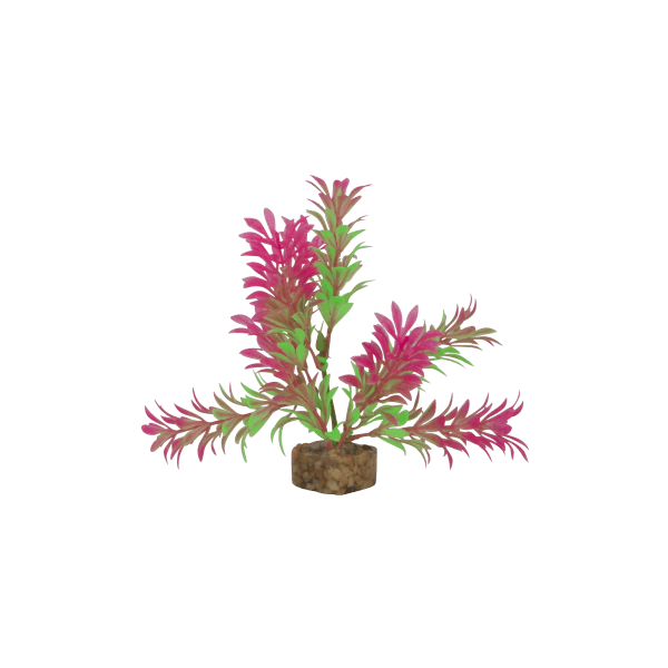 Tetra GloFish Small Green/Pink Plant - Pisces Pet Emporium