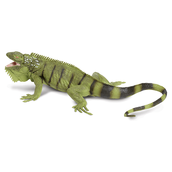 Safari Ltd. Iguana - Pisces Pet Emporium