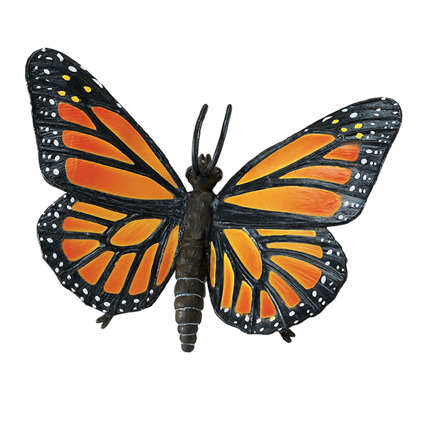 Safari Ltd. Monarch Butterfly - Pisces Pet Emporium