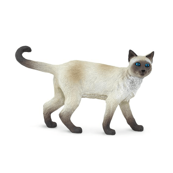 Safari Ltd. Siamese - Pisces Pet Emporium