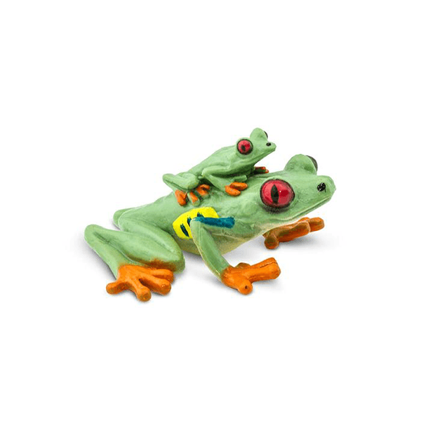 Safari Ltd. Red-Eyed Tree Frog - Pisces Pet Emporium
